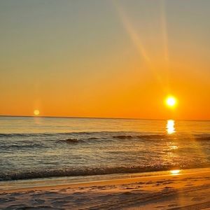 Meet your Posher, Dee